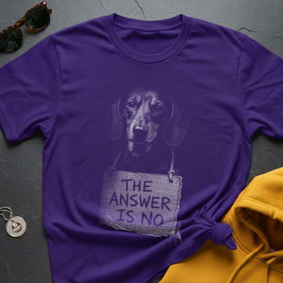 Answer Is No T-Shirt